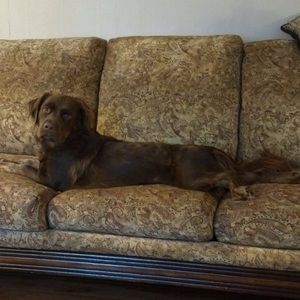 Meet your Posher, Ruth